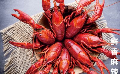 贵公把创新发展作为企业发展的不竭动力